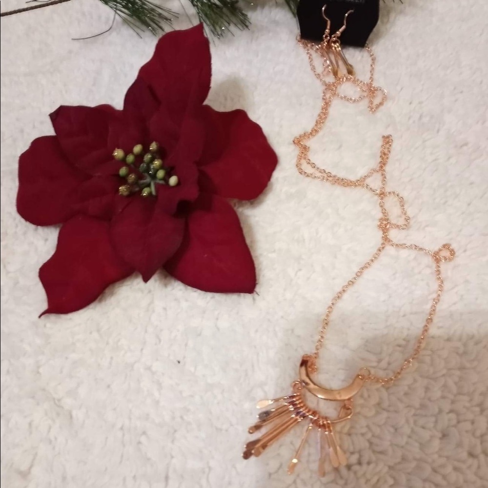 🆕 Trendsetting Trinket Necklace & earrings